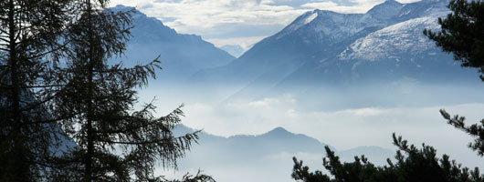 手机被攻击连续收短信