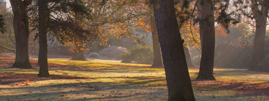 24小时呼叫轰炸神器